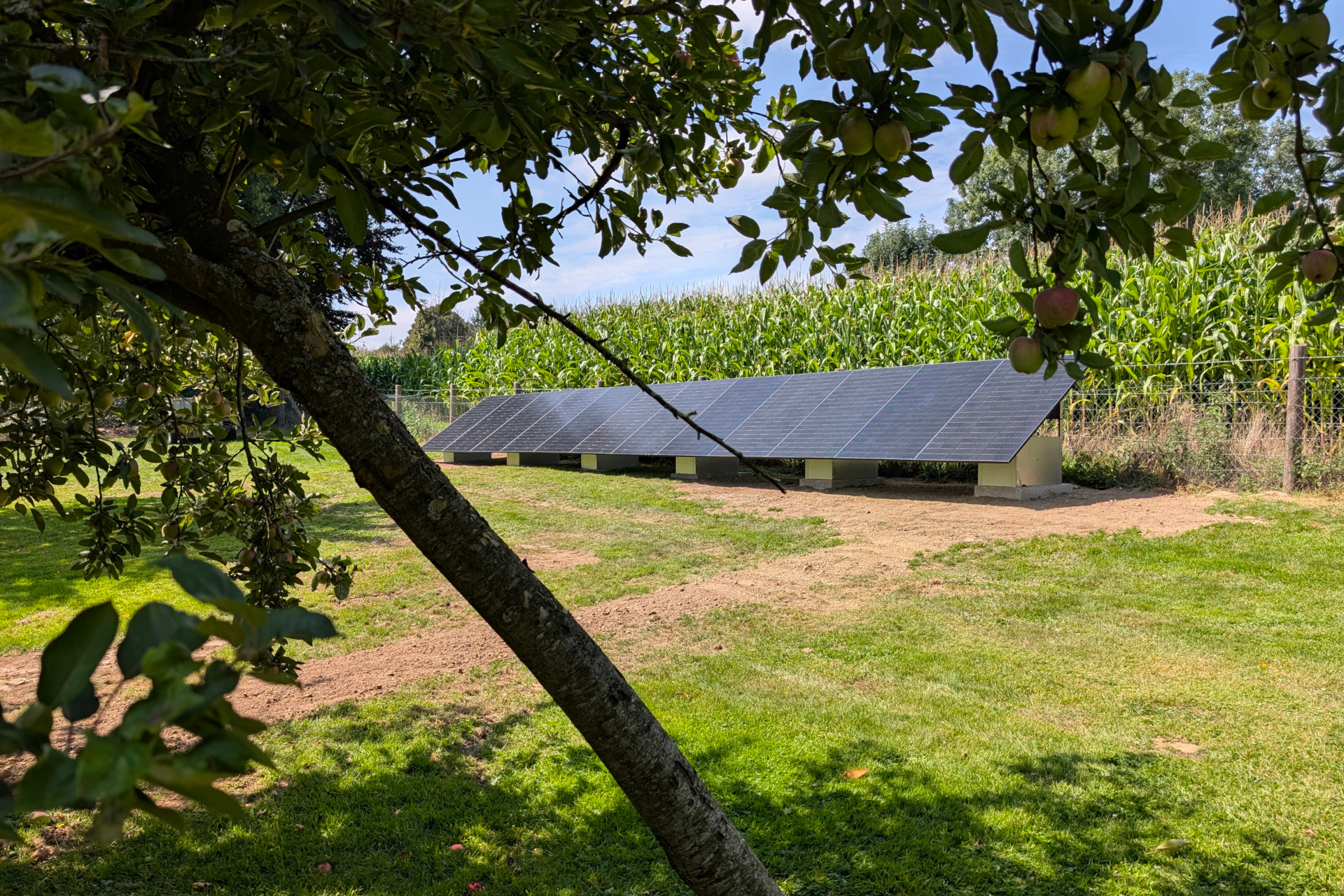 Un couvreur posant des paneaux solaires sur un toit